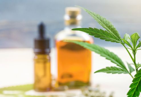 Teaserbild Gewinnung von Extrakten